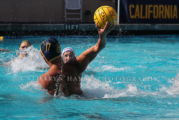 Collegiate Mens Water Polo: California Golden Bears vs UC Santa Barbara Gauchos