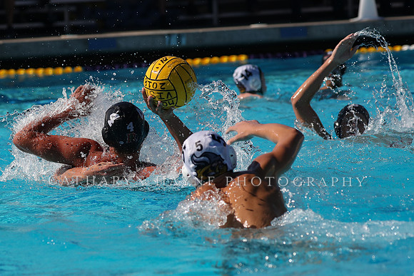 High School Water Polo: Redwood High School Varsity vs Palo Alto High School Varsity