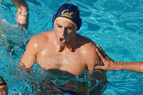 California Golden Bears vs San Jose State Unversity Spartans