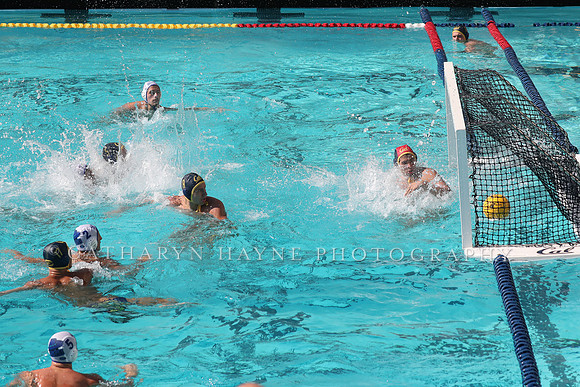 Collegiate Mens Water Polo: California Golden Bears vs UC Santa Barbara Gauchos