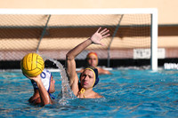 Collegiate Mens Water Polo: MPSF Invitational: California Golden Bears vs UC Santa Barbara Gauchos