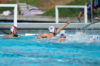 MWP: California Golden Bears vs Santa Clara University Broncos