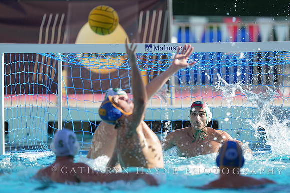 MWP: Salem University Tigers vs UCLA Bruins