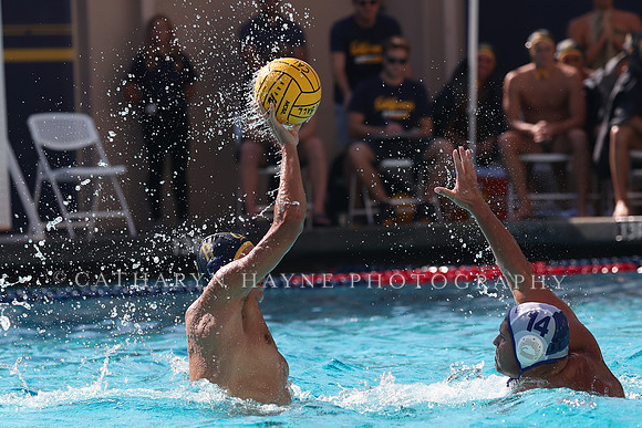 Collegiate Mens Water Polo: California Golden Bears vs UC Santa Barbara Gauchos
