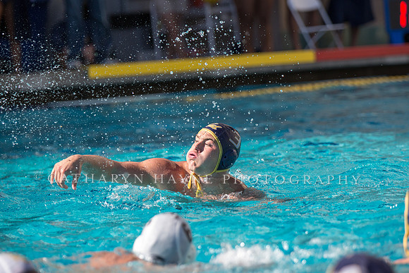 20141102CalvLBSUlr-84