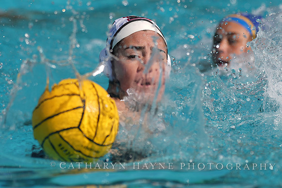WWP: Brown University Bears vs SJSU Spartans