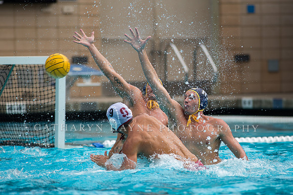 Cal vs Stanford at Mountain Pacific Sports Federation 2016