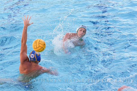 MWP: Salem University Tigers vs UCLA Bruins