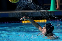 High School Water Polo: Redwood High School Varsity vs Palo Alto High School Varsity