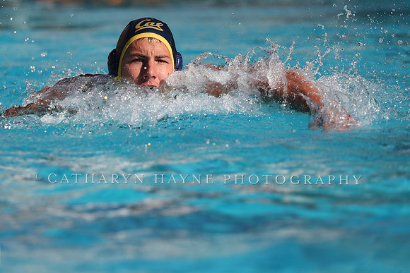 Collegiate Mens Water Polo: MPSF Invitational: California Golden Bears vs UC Santa Barbara Gauchos