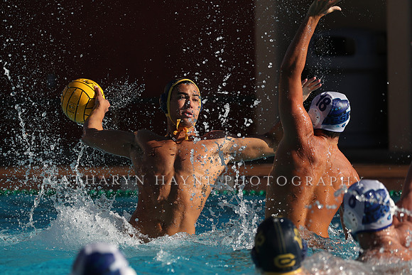 Collegiate Mens Water Polo: MPSF Invitational: California Golden Bears vs UC Santa Barbara Gauchos
