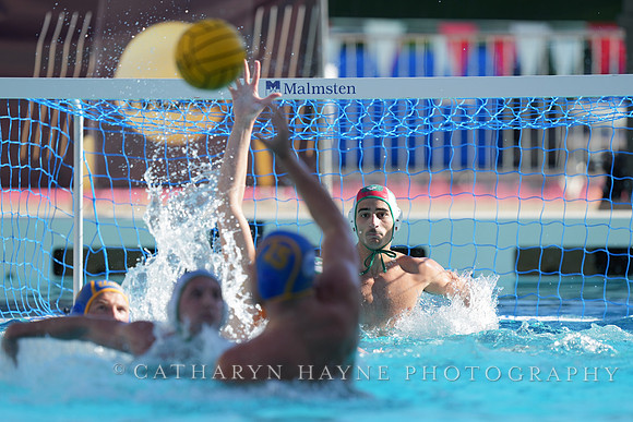 MWP: Salem University Tigers vs UCLA Bruins