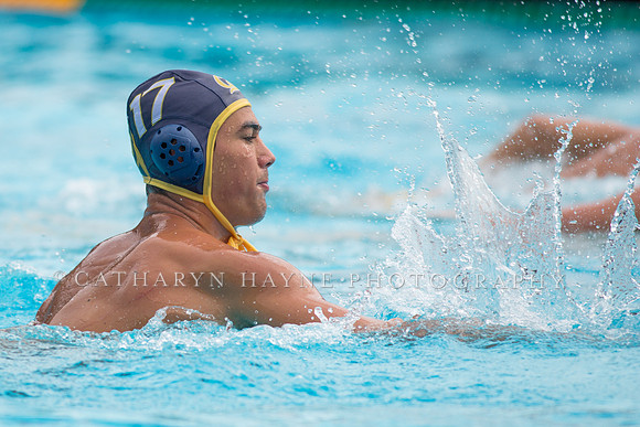 Cal vs Stanford at Mountain Pacific Sports Federation 2016