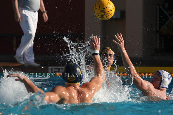 Collegiate Mens Water Polo: MPSF Invitational: California Golden Bears vs UC Santa Barbara Gauchos