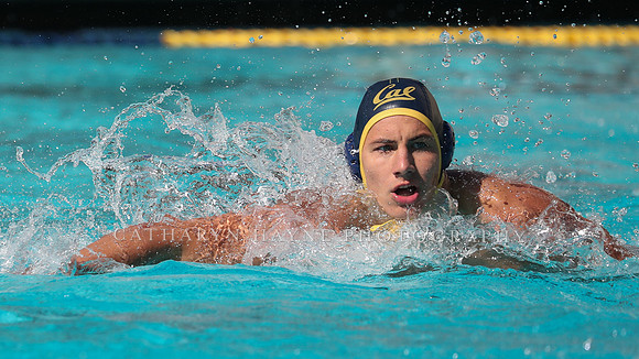 Collegiate Mens Water Polo: California Golden Bears vs UC Santa Barbara Gauchos