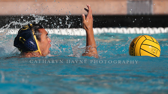 Collegiate Mens Water Polo: MPSF Invitational: California Golden Bears vs UC Santa Barbara Gauchos