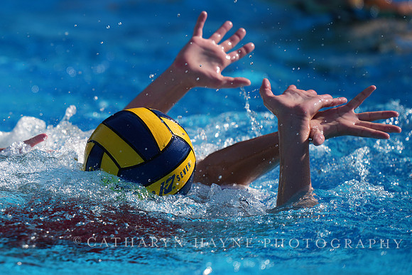 YWP: Archie Williams High School Varsity