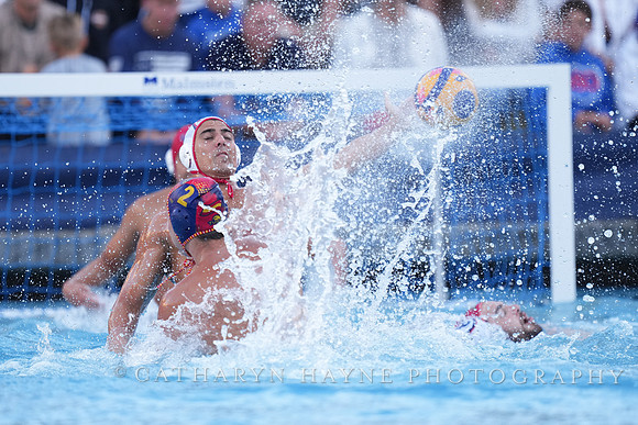 Luca Cupido, Alberto Munarriz