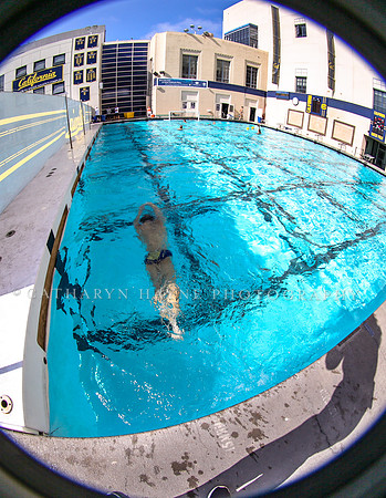 Collegiate Mens Water Polo: California Golden Bears vs UC Santa Barbara Gauchos