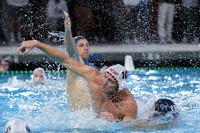 USA Water Polo National League
