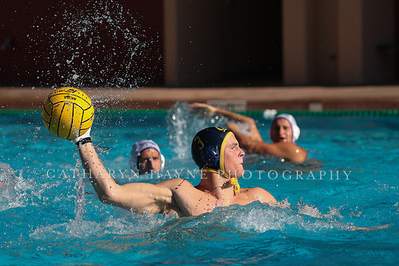 Collegiate Mens Water Polo: MPSF Invitational: California Golden Bears vs UC Santa Barbara Gauchos