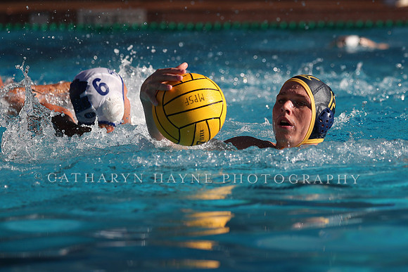 Collegiate Mens Water Polo: MPSF Invitational: California Golden Bears vs UC Santa Barbara Gauchos
