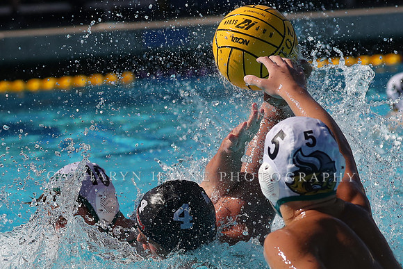 High School Water Polo: Redwood High School Varsity vs Palo Alto High School Varsity