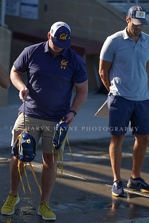 California Golden Bears vs San Jose State Unversity Spartans