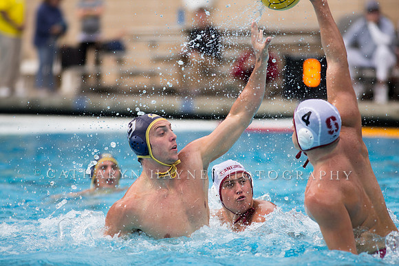 Cal vs Stanford at Mountain Pacific Sports Federation 2016