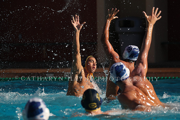 Collegiate Mens Water Polo: MPSF Invitational: California Golden Bears vs UC Santa Barbara Gauchos