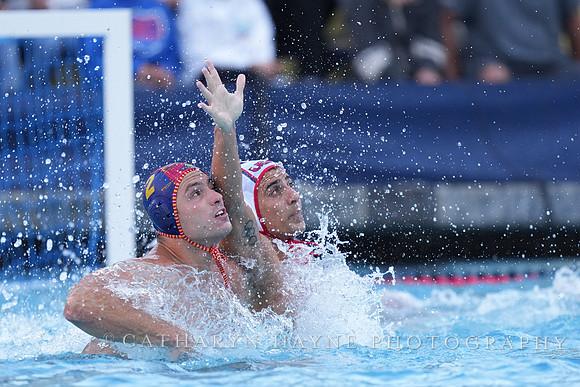 Luca Cupido, Alberto Munarriz