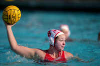 Emily Scheerer