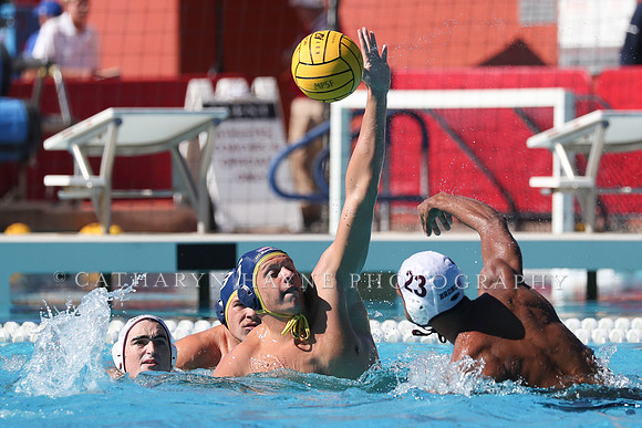 Collegiate Men's Water Polo: MPSF Invitational: UC San Diego Tritons vs Santa Clara University Broncos