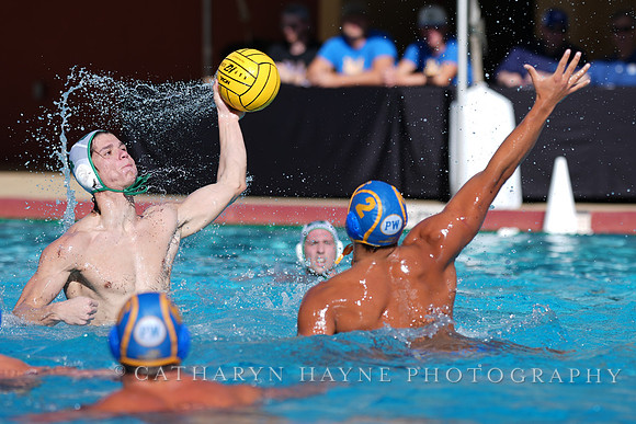 MWP: Salem University Tigers vs UCLA Bruins