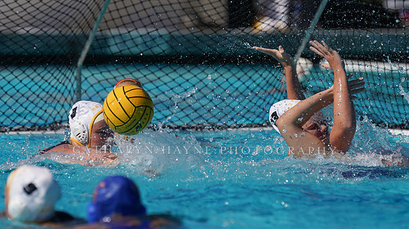 Collegiate Women's Water Polo: Barbara Kalbus Invitational: UCLA Bruins vs CSULB