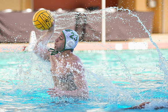 MWP: Salem University Tigers vs UCLA Bruins