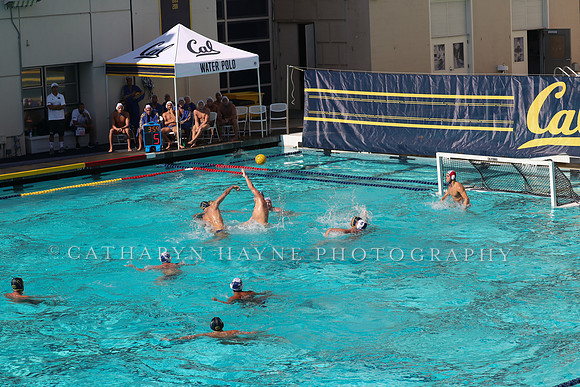Collegiate Mens Water Polo: California Golden Bears vs UC Santa Barbara Gauchos