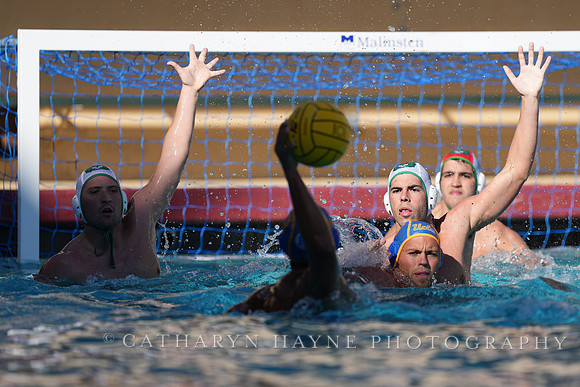 MWP: Salem University Tigers vs UCLA Bruins
