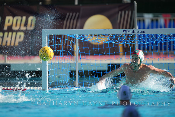 MWP: Salem University Tigers vs UCLA Bruins