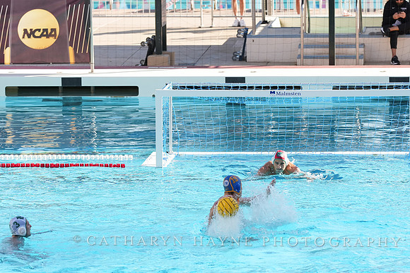 MWP: Salem University Tigers vs UCLA Bruins