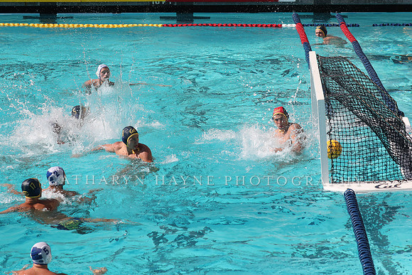 Collegiate Mens Water Polo: California Golden Bears vs UC Santa Barbara Gauchos