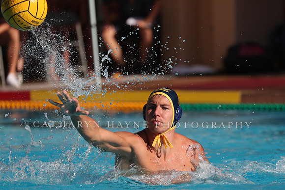 Collegiate Mens Water Polo: MPSF Invitational: California Golden Bears vs UC Santa Barbara Gauchos