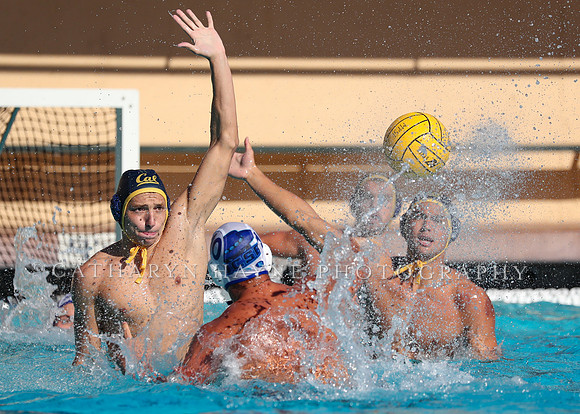 Collegiate Mens Water Polo: MPSF Invitational: California Golden Bears vs UC Santa Barbara Gauchos