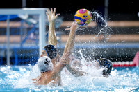 USA Water Polo National League