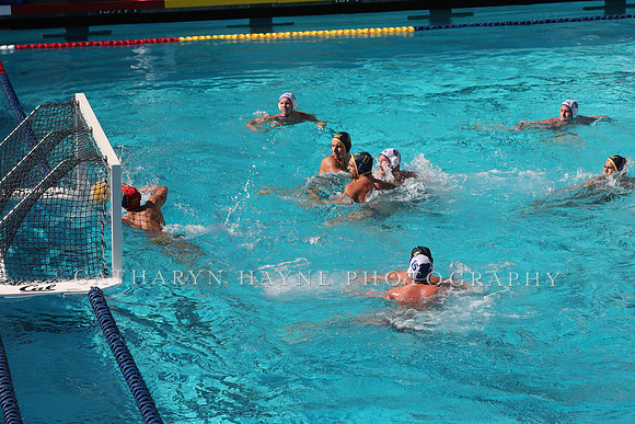 Collegiate Mens Water Polo: California Golden Bears vs UC Santa Barbara Gauchos