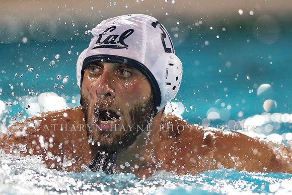 M Waterpolo: California Golden Bears vs University of the Pacific