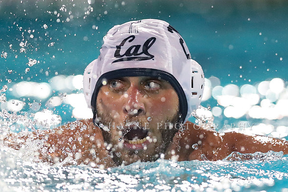 M Waterpolo: California Golden Bears vs University of the Pacific