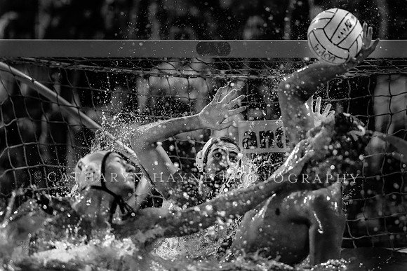 M Waterpolo: California Golden Bears vs University of the Pacific