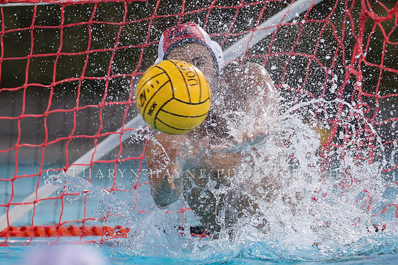 M Waterpolo: California Golden Bears vs University of the Pacific