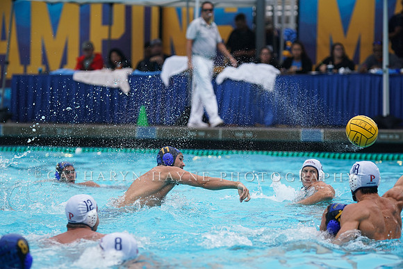 MWP:California Golden Bears vs UCSB Gauchos